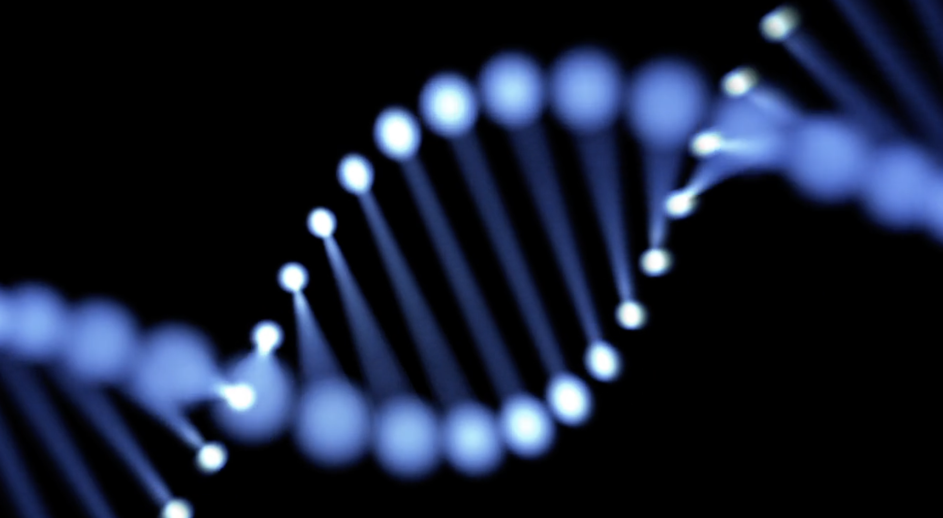 What is Pyrroloquinoline quinone (PQQ)?