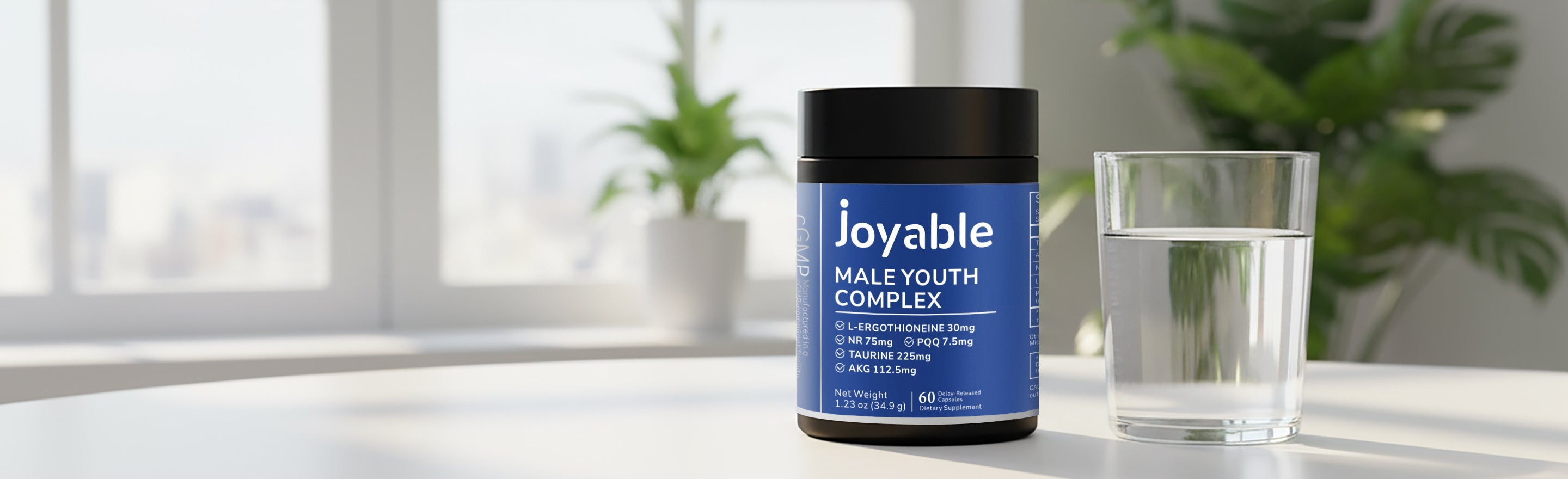 joyable-healthy-aging-collection-banner