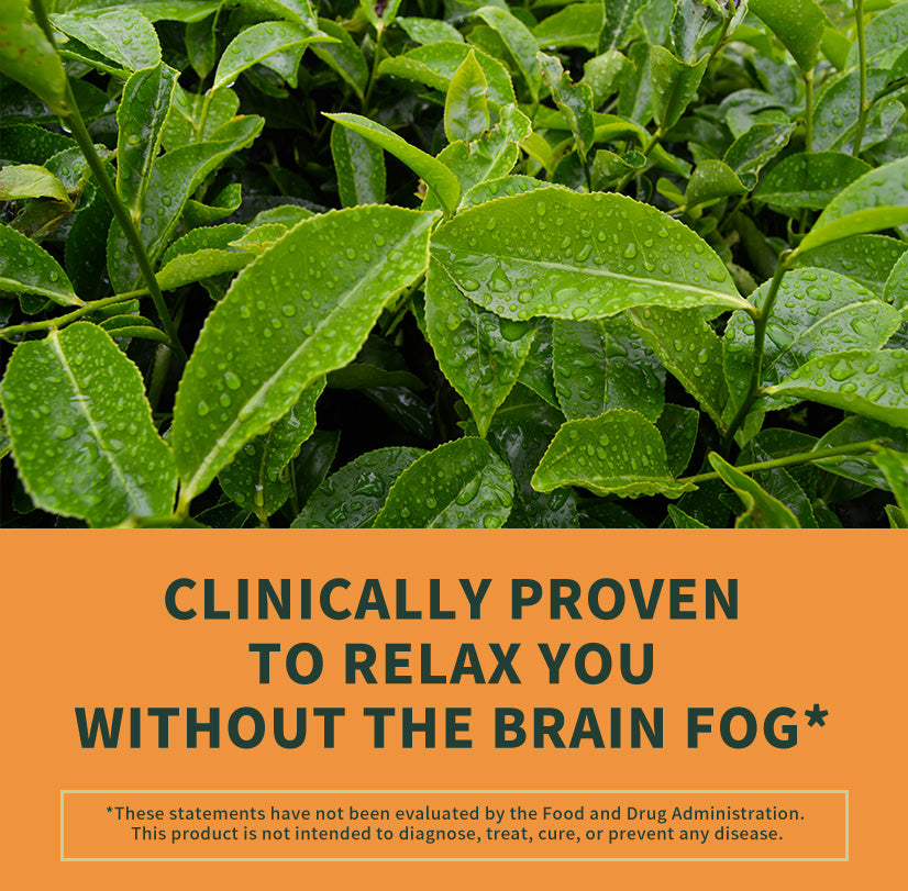 A close-up photo of green tea leaves with water droplets, above an orange text banner that reads 'CLINICALLY PROVEN TO RELAX YOU WITHOUT THE BRAIN FOG*' and includes a disclaimer note at the bottom.