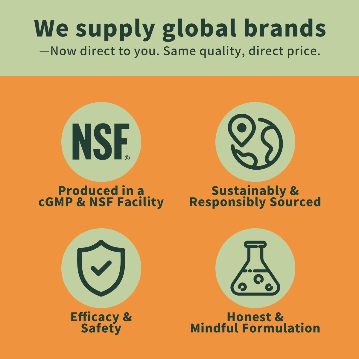 An informational graphic with the headline 'We supply global brands' and supporting text about direct supply. The design has an orange background with four pale green circular icons and dark text reading NSF, sustainably sourced, efficacy and safety, and honest mindful formulation.